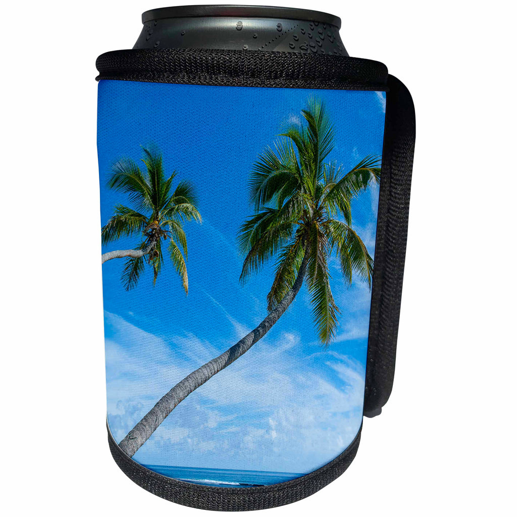 3dRose Danita Delimont - Tonga - Leaning Palms over Kolovai Beach, Tongatapu, Tonga, South Pacific - Can Cooler Bottle Wrap (cc_250341)