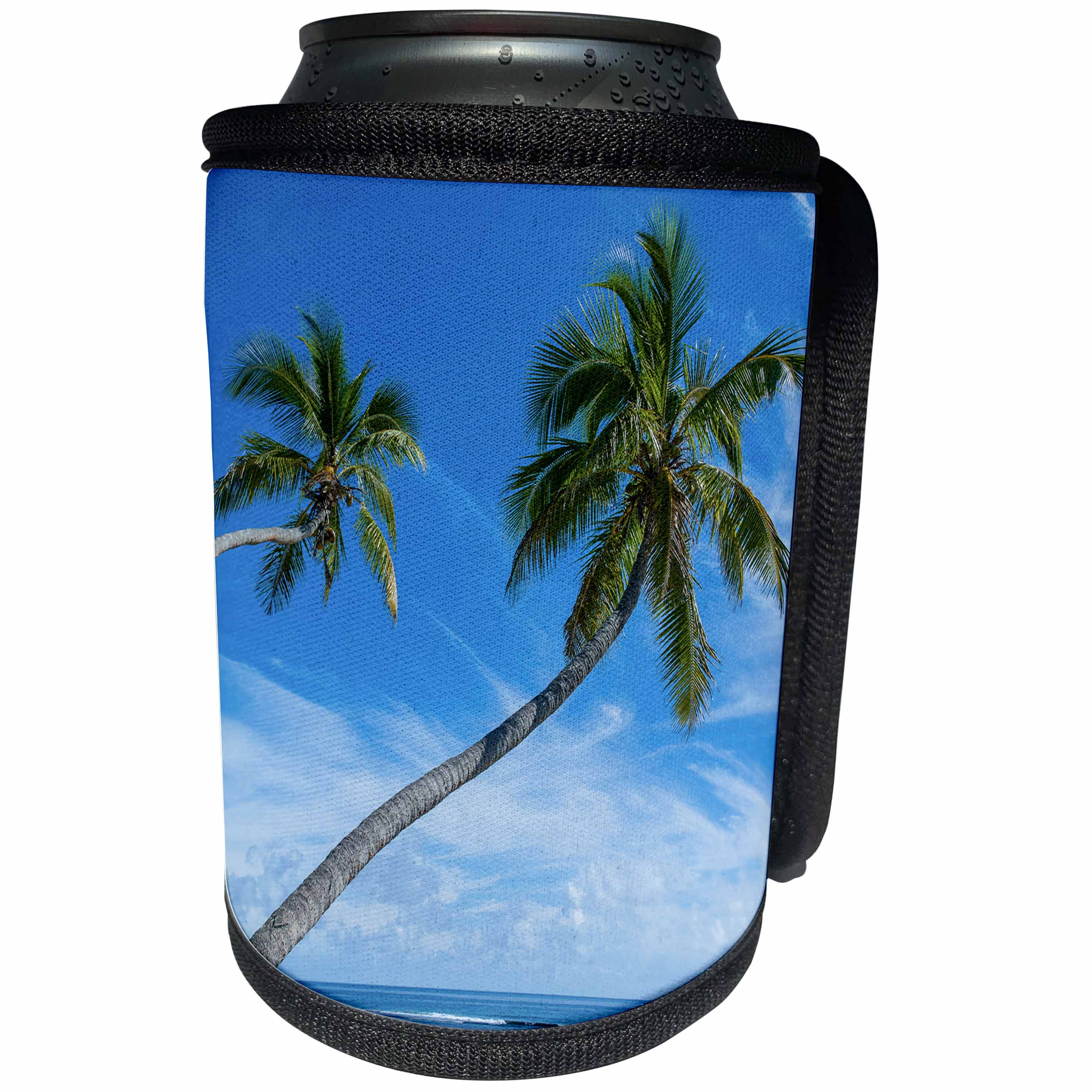 3dRose Danita Delimont - Tonga - Leaning Palms over Kolovai Beach, Tongatapu, Tonga, South Pacific - Can Cooler Bottle Wrap (cc_250341)