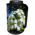 3dRose Danita Delimont - Northern Marianas - Frangipani or Plumeria, Saipan, Northern Marianas, Central Pacific - Can Cooler Bottle Wrap (cc_250385)
