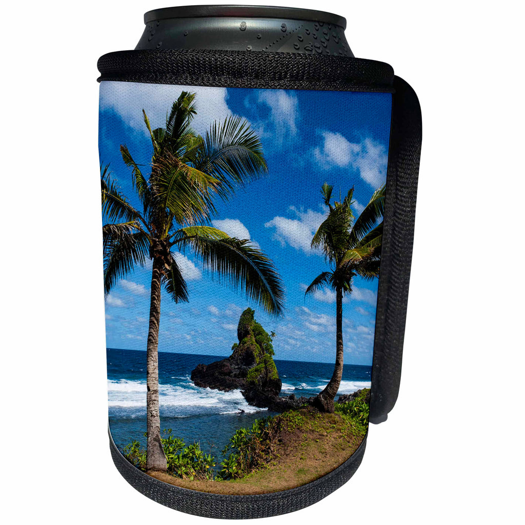 3dRose Danita Delimont - American Samoa - East Coast of Tutuila Island, American Samoa, South Pacific - Can Cooler Bottle Wrap (cc_250387)