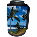 3dRose Danita Delimont - American Samoa - East Coast of Tutuila Island, American Samoa, South Pacific - Can Cooler Bottle Wrap (cc_250387)