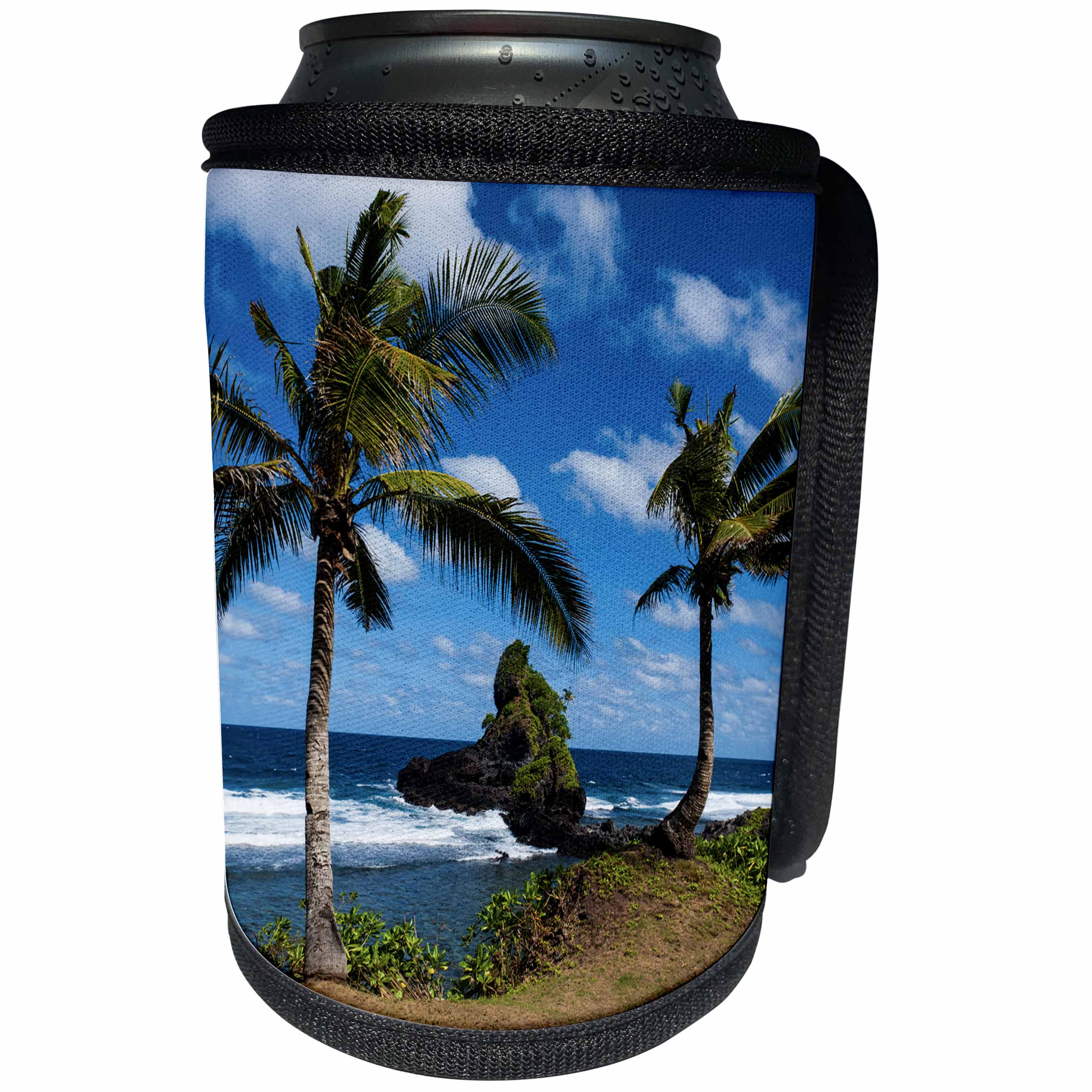 3dRose Danita Delimont - American Samoa - East Coast of Tutuila Island, American Samoa, South Pacific - Can Cooler Bottle Wrap (cc_250387)
