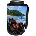 3dRose Danita Delimont - American Samoa - Shipwreck on the east coast of Tutuila Island, American Samoa - Can Cooler Bottle Wrap (cc_250394)