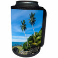 3dRose Stone money on Yap Island, Micronesia - Can Cooler Bottle Wrap (cc_250426)