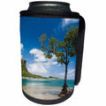 3dRose Danita Delimont - Micronesia - Mangrove tree standing in water near Sokehs Rock, Pohnpei, Micronesia - Can Cooler Bottle Wrap (cc_250430)