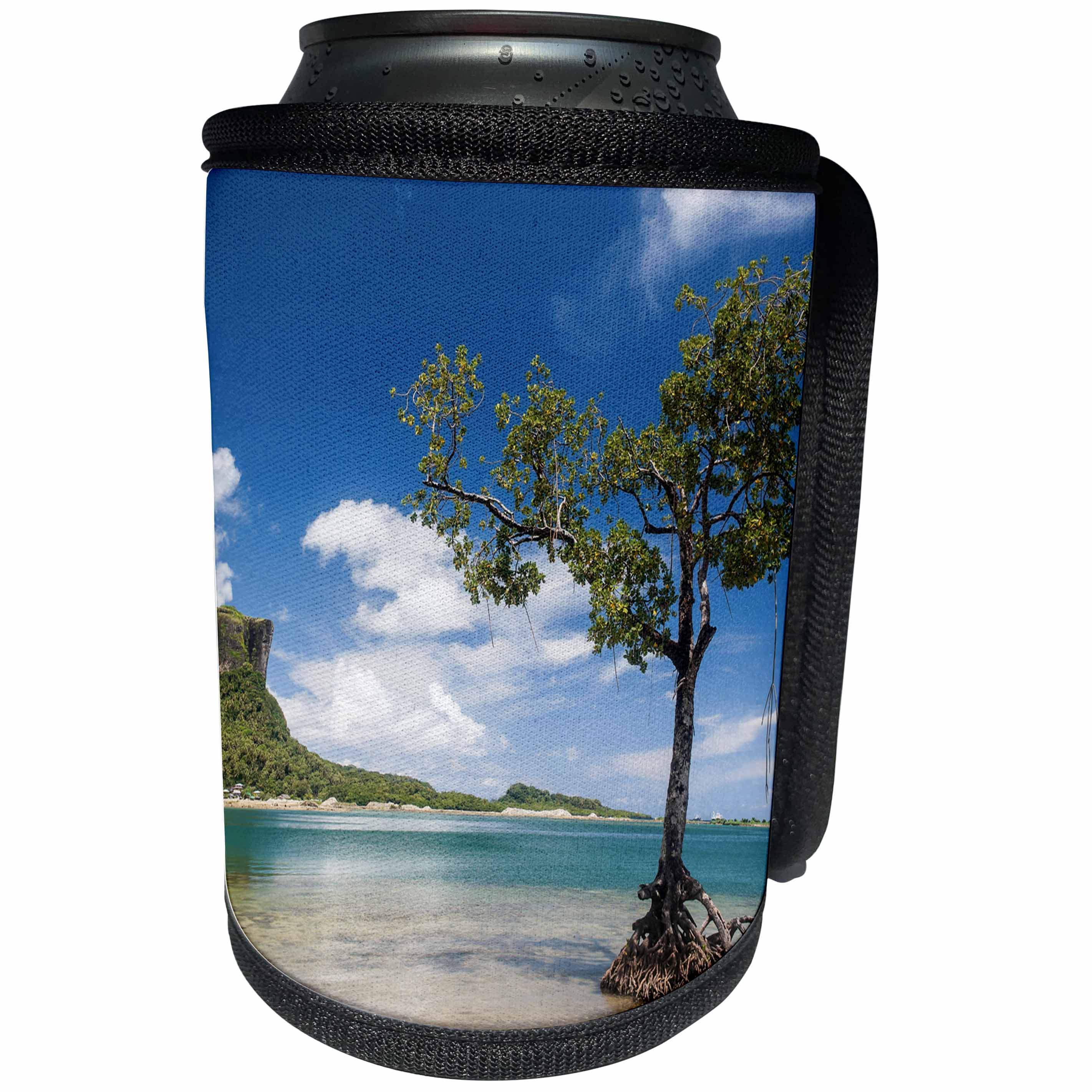 3dRose Danita Delimont - Micronesia - Mangrove tree standing in water near Sokehs Rock, Pohnpei, Micronesia - Can Cooler Bottle Wrap (cc_250430)