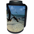 3dRose Danita Delimont - Belize - Magnificent Frigatebird, Half Moon Caye, Lighthouse Reef, Belize 01 - Can Cooler Bottle Wrap (cc_250439)