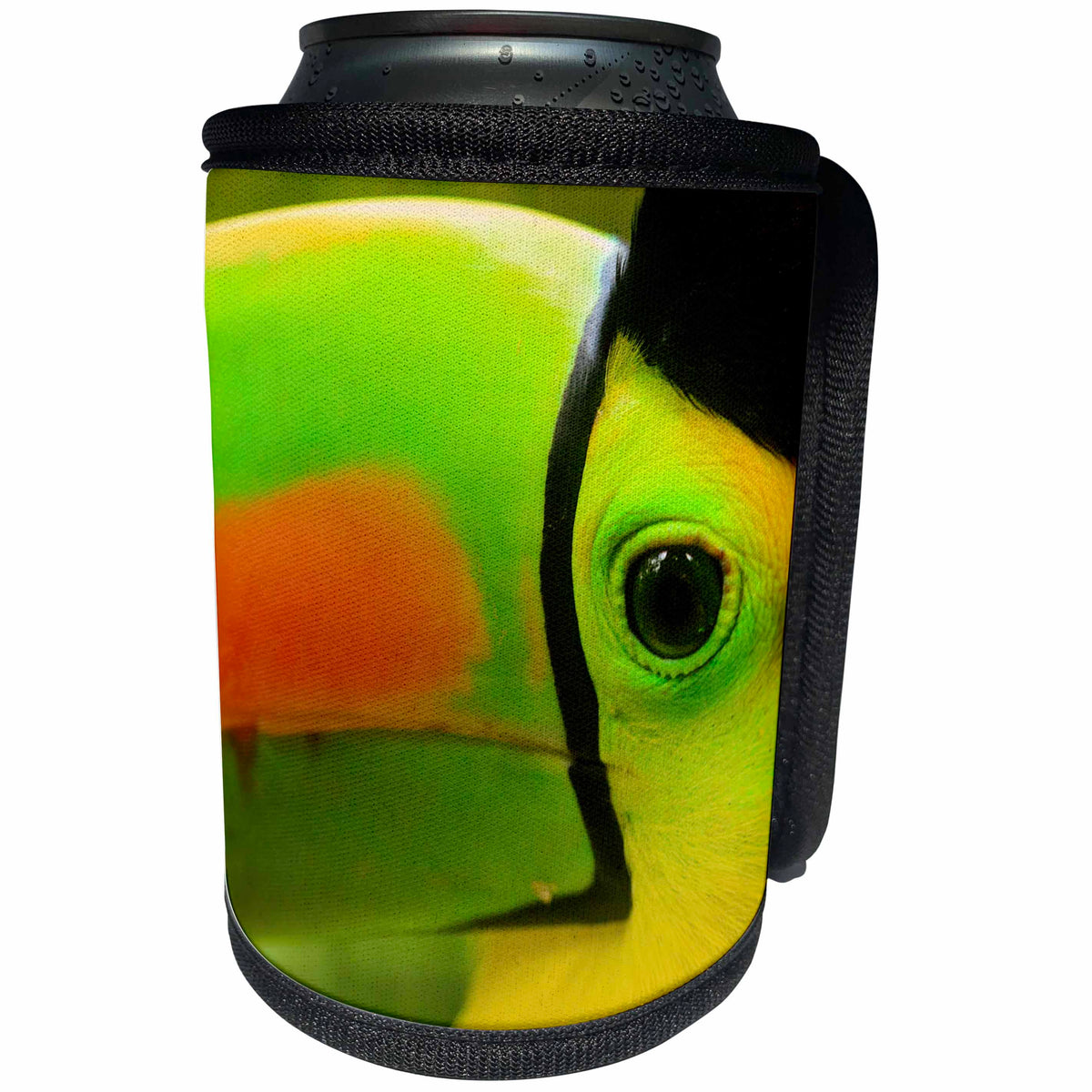 3dRose Danita Delimont - Belize - Keel-billed Toucan, National Bird, Belize Zoo near Belize City, Belize - Can Cooler Bottle Wrap (cc_250449)