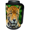 3dRose Danita Delimont - Belize - Jaguar, Panthera onca, Belize Zoo near Belize City, Belize - Can Cooler Bottle Wrap (cc_250450)