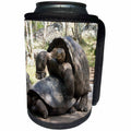 3dRose Danita Delimont - Galapagos Islands - Giant Tortoises mating behavior, Floreana Island, Galapagos Islands - Can Cooler Bottle Wrap (cc_250457)
