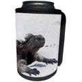 3dRose Danita Delimont - Galapagos Islands - Galapagos Marine iguana, San Cristobal Island, Galapagos Islands - Can Cooler Bottle Wrap (cc_250459)