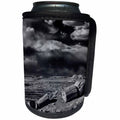 3dRose Danita Delimont - Petrified Forest - Petrified trees, Crystal Forest, Petrified Forest National Park, AZ - Can Cooler Bottle Wrap (cc_250511)