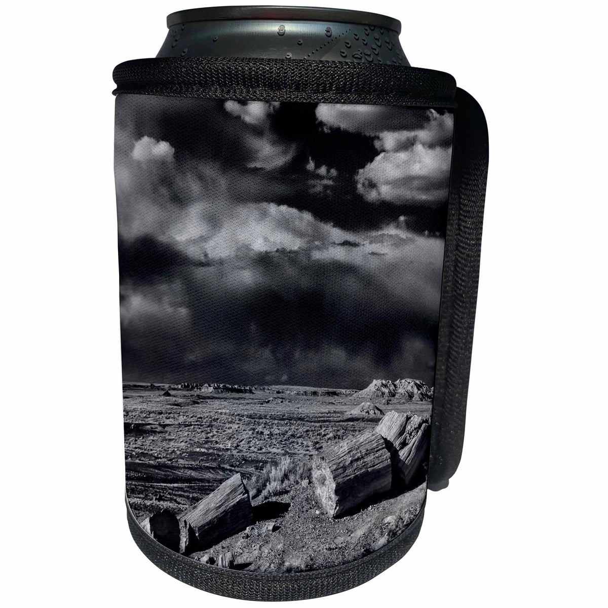 3dRose Danita Delimont - Petrified Forest - Petrified trees, Crystal Forest, Petrified Forest National Park, AZ - Can Cooler Bottle Wrap (cc_250511)