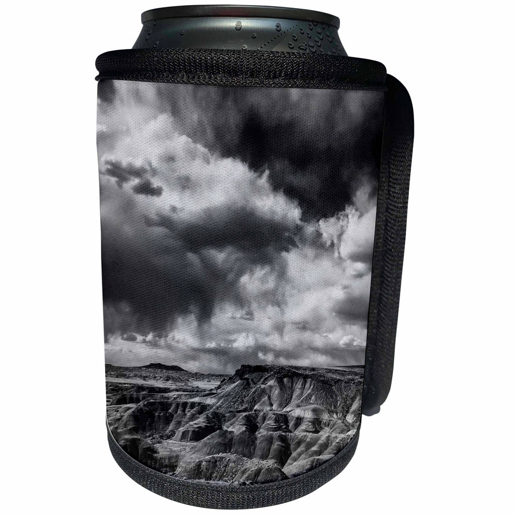 3dRose Danita Delimont - Petrified Forest - Painted Desert from Lacey Point, Petrified Forest National Park, AZ - Can Cooler Bottle Wrap (cc_250512)