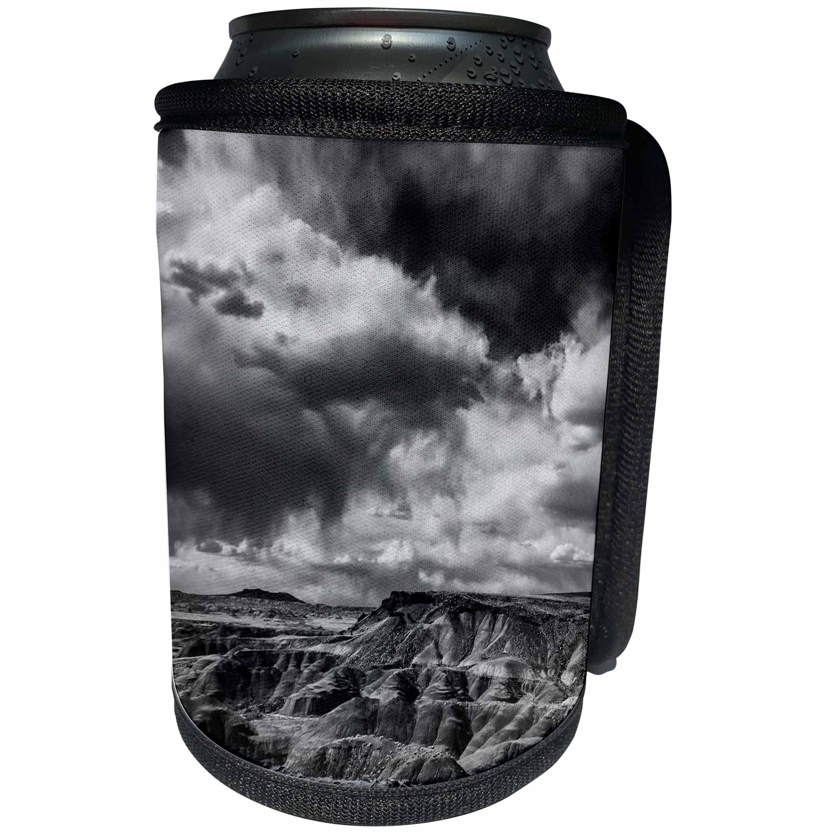 3dRose Danita Delimont - Petrified Forest - Painted Desert from Lacey Point, Petrified Forest National Park, AZ - Can Cooler Bottle Wrap (cc_250512)