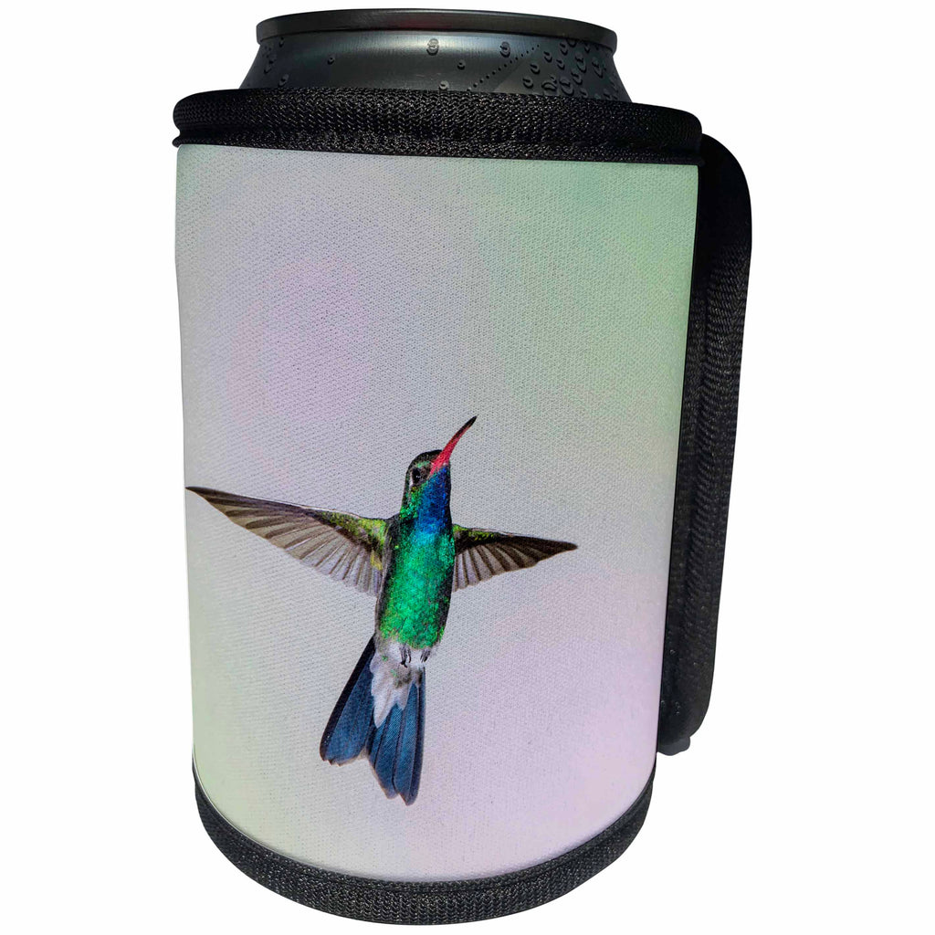3dRose Danita Delimont - Bird - Broad-billed Hummingbird, male hovering - Can Cooler Bottle Wrap (cc_250533)