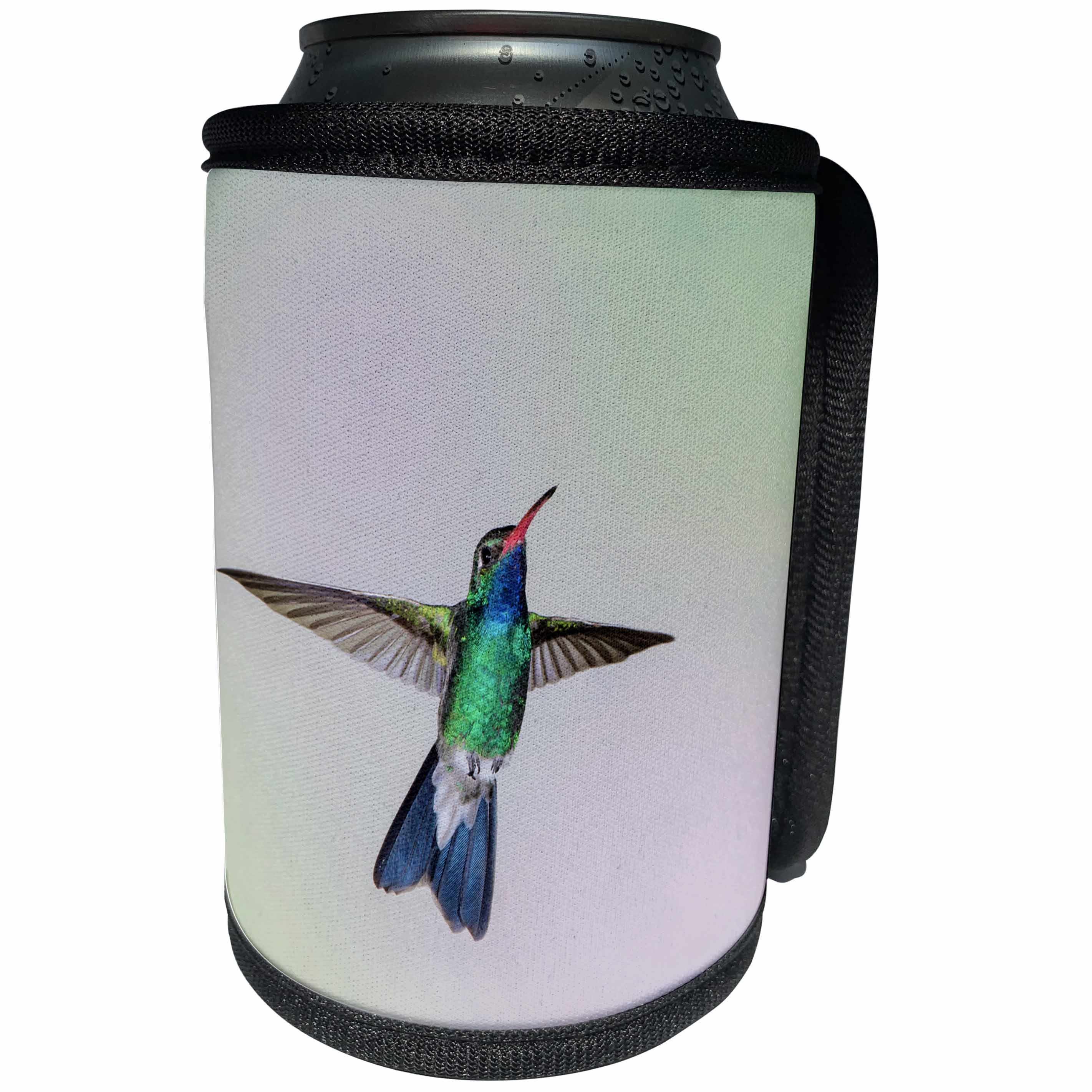 3dRose Danita Delimont - Bird - Broad-billed Hummingbird, male hovering - Can Cooler Bottle Wrap (cc_250533)