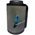3dRose Danita Delimont - Bird - Broad-billed Hummingbird, male perched - Can Cooler Bottle Wrap (cc_250534)