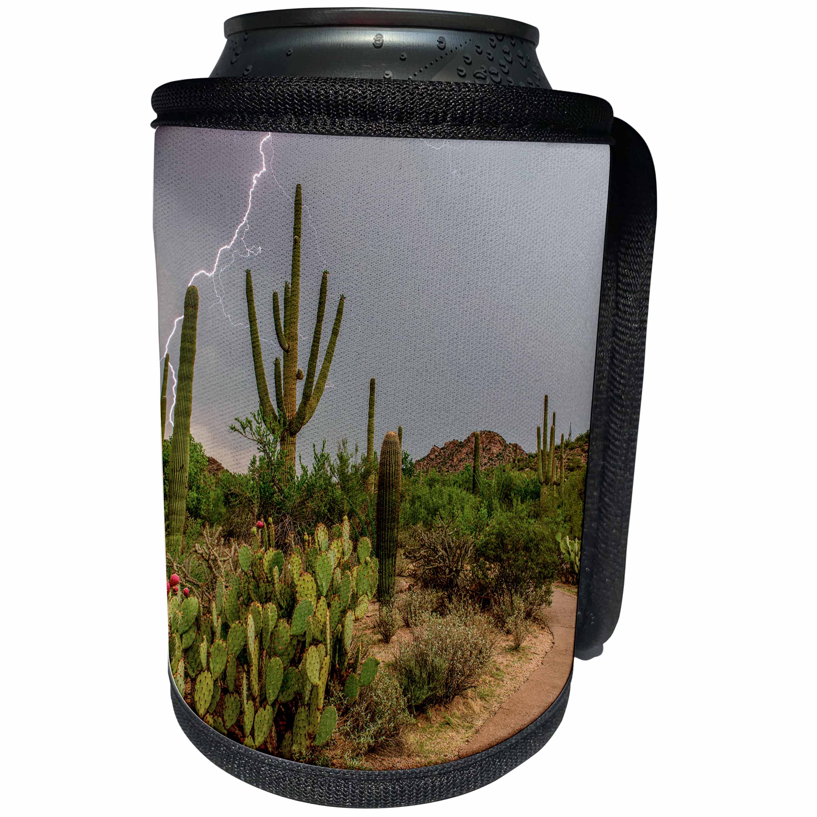 3dRose Danita Delimont - Tucson - Arizona, Tucson, Saguaro National Park West, Lightning - Can Cooler Bottle Wrap (cc_250537)