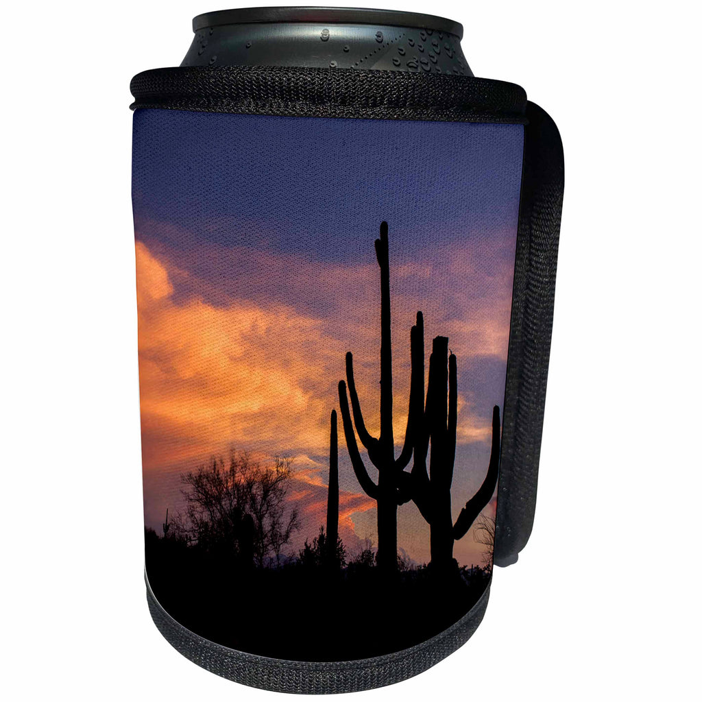 3dRose Danita Delimont - Tucson - Arizona, Tucson, Saguaro National Park West, silhouette of cacti - Can Cooler Bottle Wrap (cc_250538)