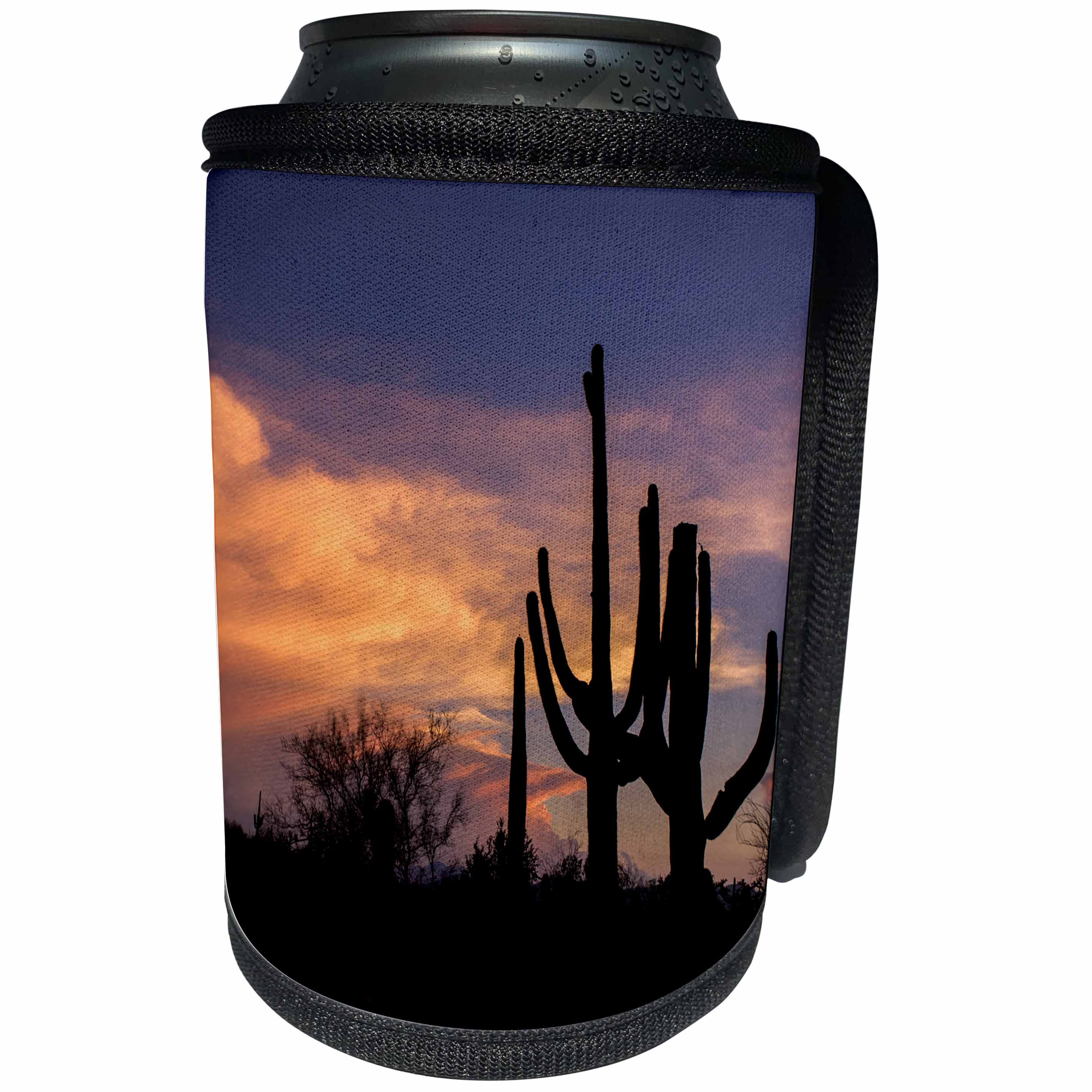3dRose Danita Delimont - Tucson - Arizona, Tucson, Saguaro National Park West, silhouette of cacti - Can Cooler Bottle Wrap (cc_250538)