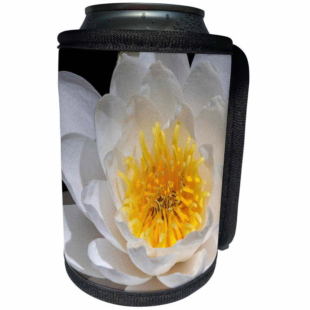 3dRose Danita Delimont - Tucson - Arizona, Tucson, Water Lilly - Can Cooler Bottle Wrap (cc_250539)