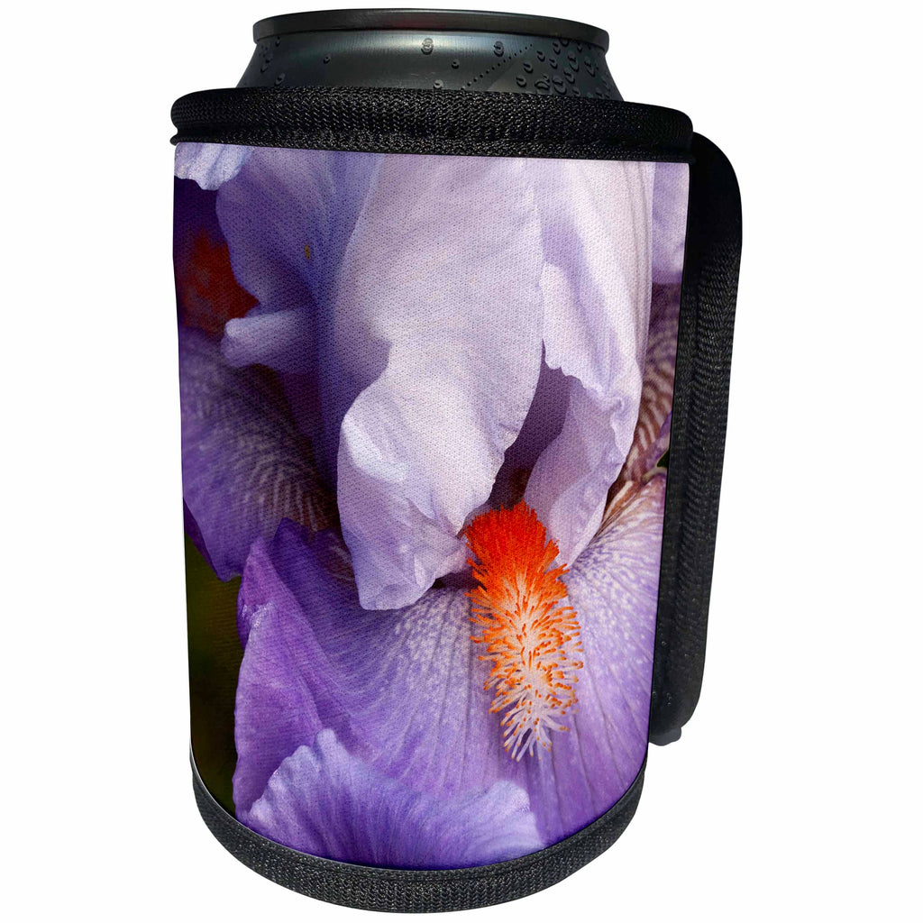 3dRose Danita Delimont - San Diego - California, San Diego. Bearded iris close up. - Can Cooler Bottle Wrap (cc_250572)
