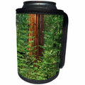 3dRose Danita Delimont - Yosemite - California, Yosemite National Park. Giant sequoia in Tuolumne Grove - Can Cooler Bottle Wrap (cc_250580)