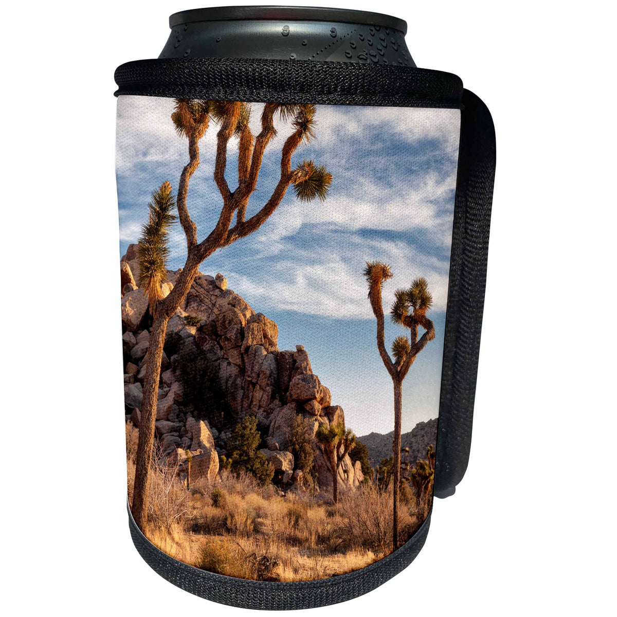 3dRose Danita Delimont - Joshua Tree - California, Joshua Tree National Park, Joshua trees in Mojave Desert - Can Cooler Bottle Wrap (cc_250597)