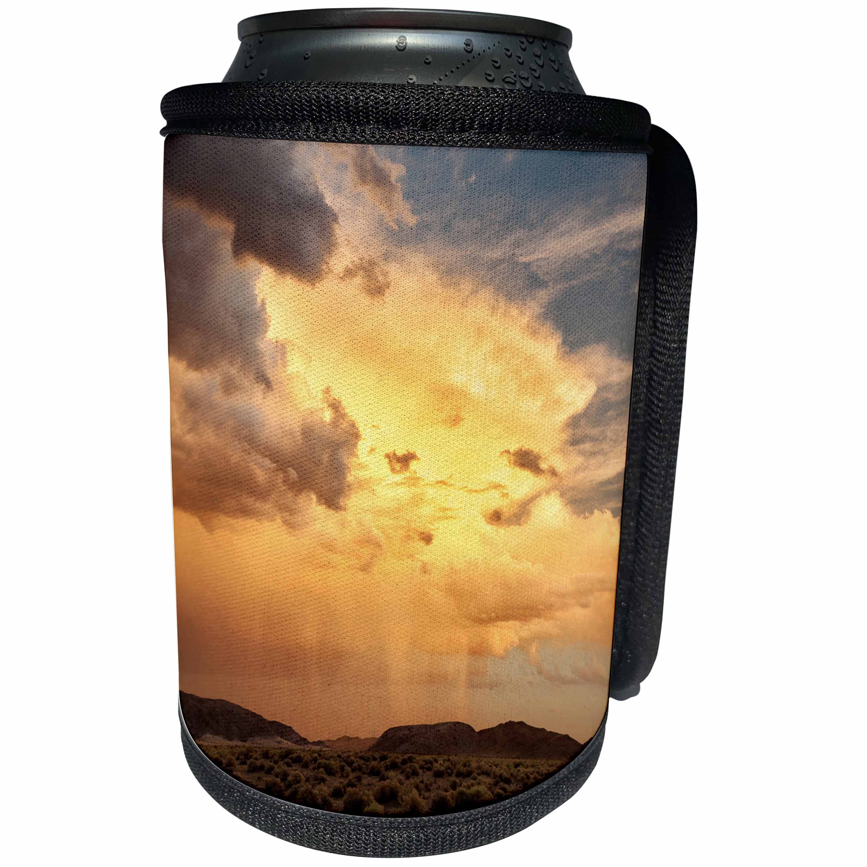 3dRose Danita Delimont - California - California, Mojave National Preserve, Desert rain squall at sunset. - Can Cooler Bottle Wrap (cc_250599)