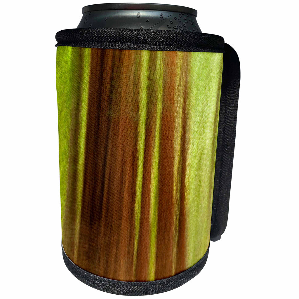 3dRose Danita Delimont - Big Sur - California, Big Sur, Blurred abstract of redwood trees - Can Cooler Bottle Wrap (cc_250602)