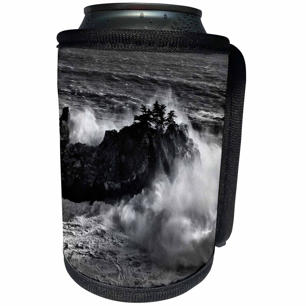 3dRose Danita Delimont - Big Sur - California, Big Sur, Big wave crashes against rocks and trees - Can Cooler Bottle Wrap (cc_250605)