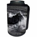 3dRose Danita Delimont - Big Sur - California, Big Sur, Big wave crashes against rocks and trees - Can Cooler Bottle Wrap (cc_250605)