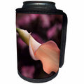 3dRose Danita Delimont - San Diego - California, San Diego, Pink calla lily unfurling - Can Cooler Bottle Wrap (cc_250637)