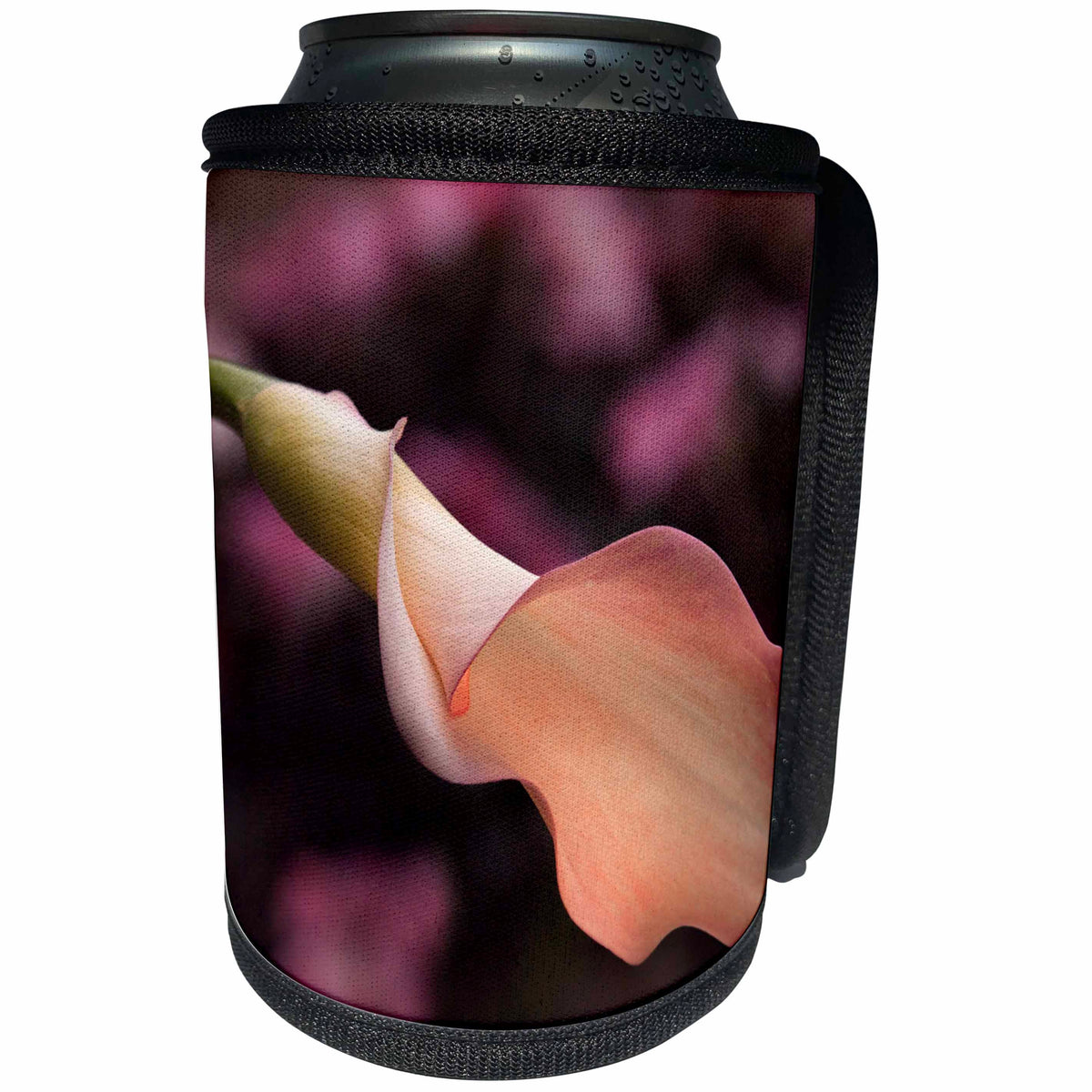 3dRose Danita Delimont - San Diego - California, San Diego, Pink calla lily unfurling - Can Cooler Bottle Wrap (cc_250637)