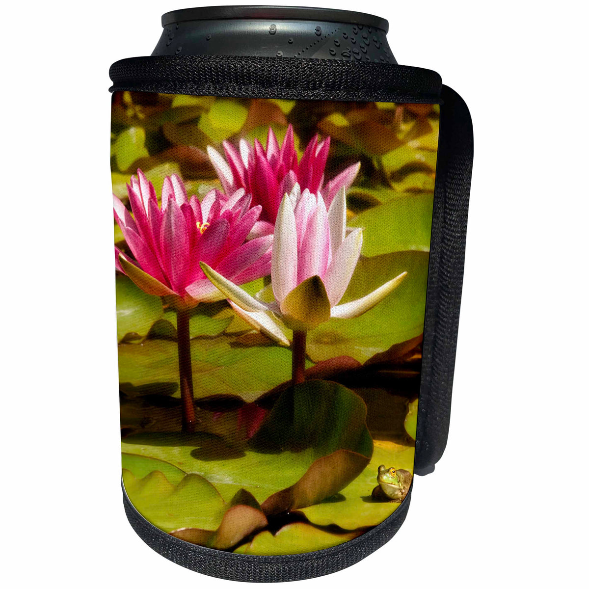3dRose Danita Delimont - San Diego - California, San Diego, Water lilies with little frog - Can Cooler Bottle Wrap (cc_250638)