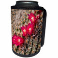 3dRose Danita Delimont - San Diego - California, San Diego, Tiny blooms on cactus - Can Cooler Bottle Wrap (cc_250645)