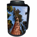 3dRose Danita Delimont - California - California, Sequoia National Park, Giant sequoia ascends to the sky - Can Cooler Bottle Wrap (cc_250654)