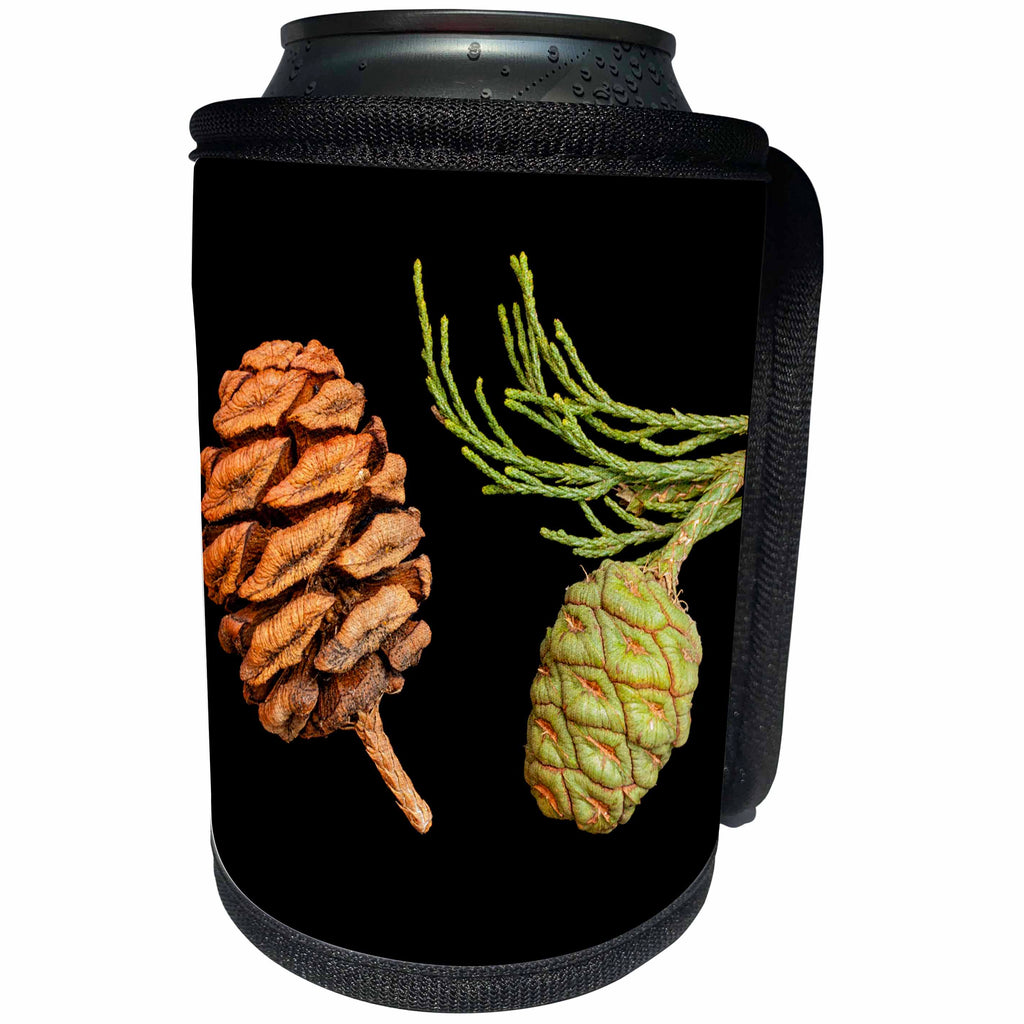 3dRose Danita Delimont - California - California, Sequoia National Park, Giant sequoia cones - Can Cooler Bottle Wrap (cc_250655)