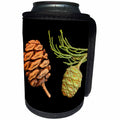 3dRose Danita Delimont - California - California, Sequoia National Park, Giant sequoia cones - Can Cooler Bottle Wrap (cc_250655)