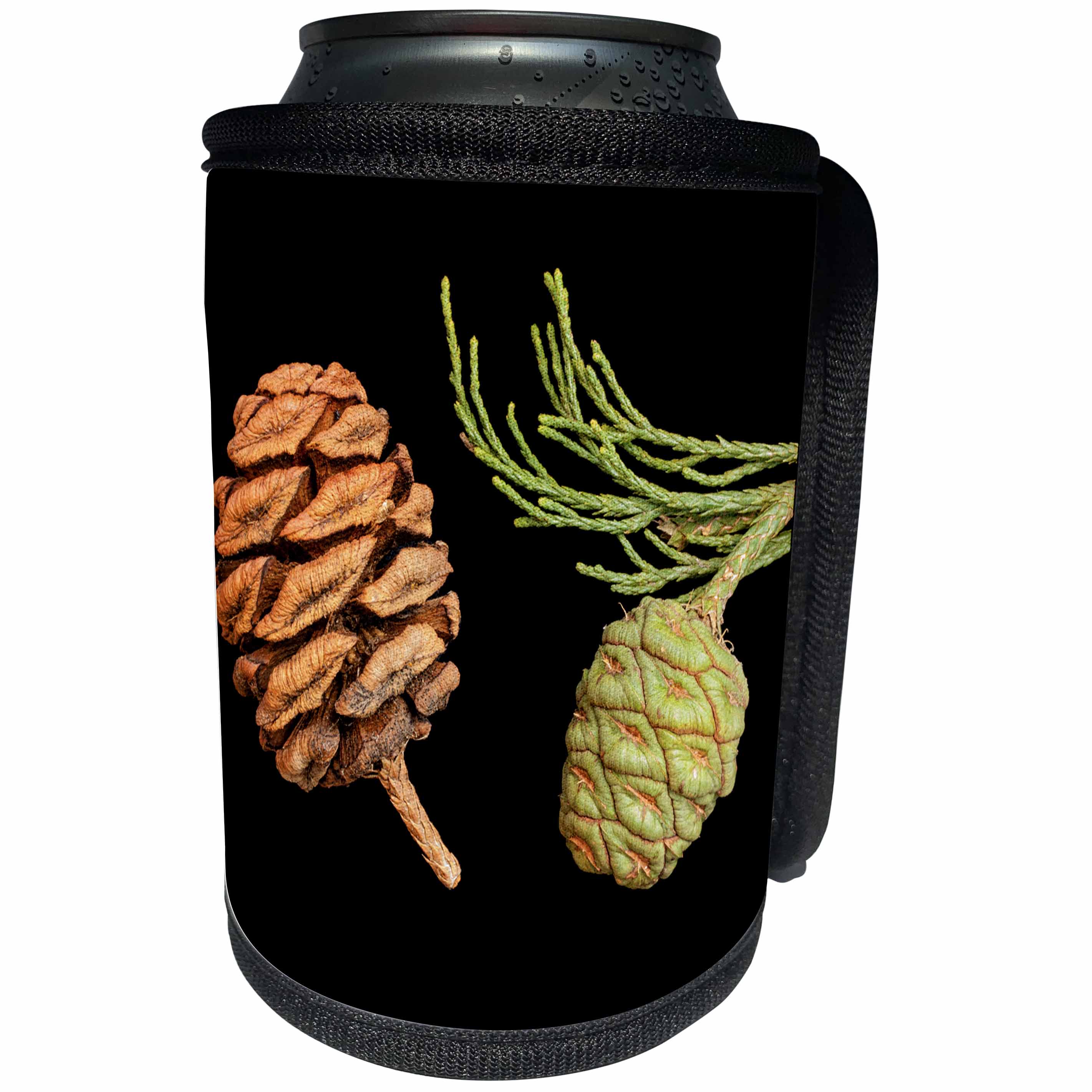 3dRose Danita Delimont - California - California, Sequoia National Park, Giant sequoia cones - Can Cooler Bottle Wrap (cc_250655)