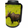 3dRose Danita Delimont - Rocky Mountain NP - Colorado, Rocky Mountain National Park, moose cow standing in grass. - Can Cooler Bottle Wrap (cc_250681)