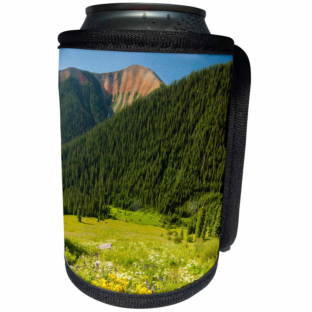 3dRose Danita Delimont - San Juan Mountains - Colorado, San Juan Mountains. Wildflowers and mountain landscape. - Can Cooler Bottle Wrap (cc_250682)