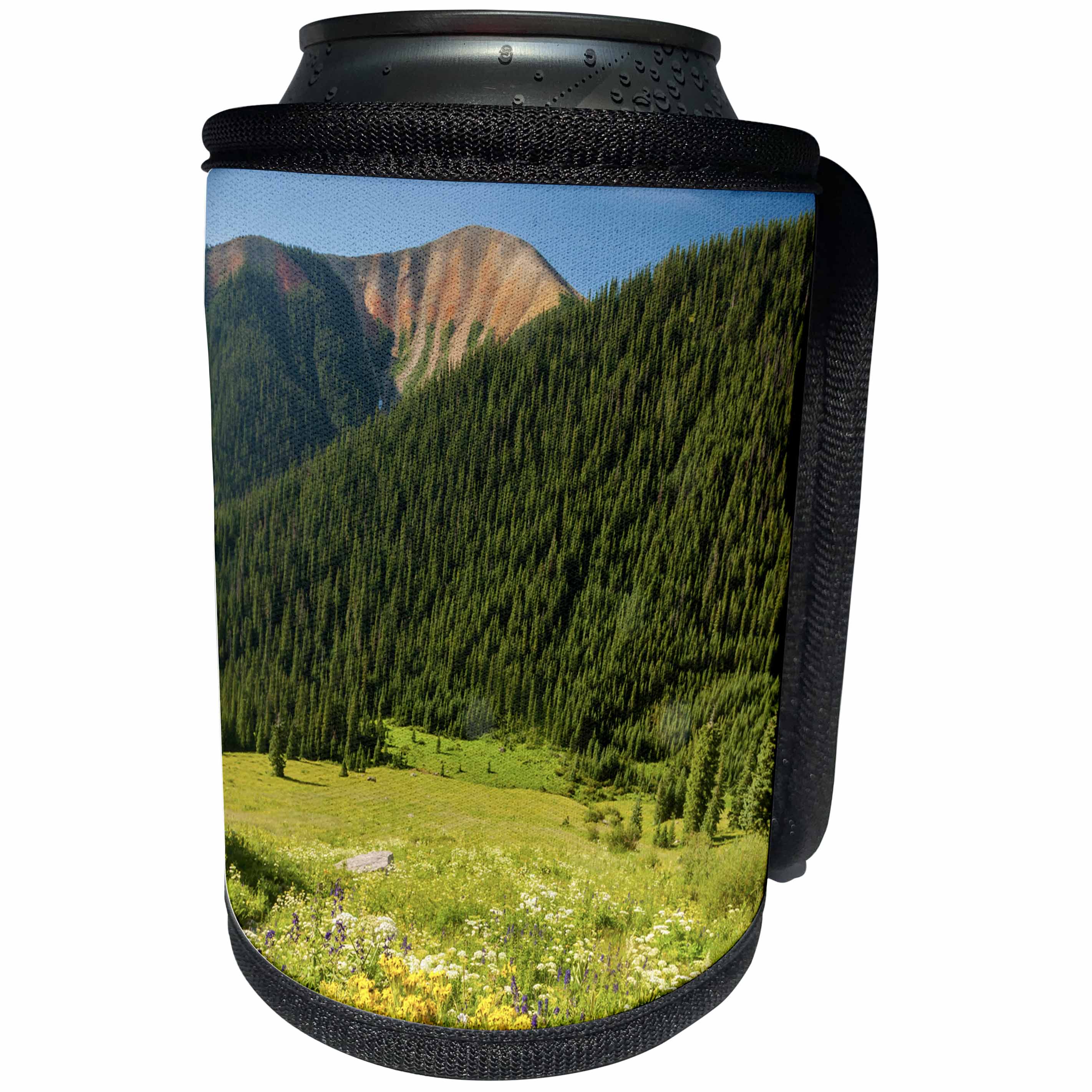 3dRose Danita Delimont - San Juan Mountains - Colorado, San Juan Mountains. Wildflowers and mountain landscape. - Can Cooler Bottle Wrap (cc_250682)