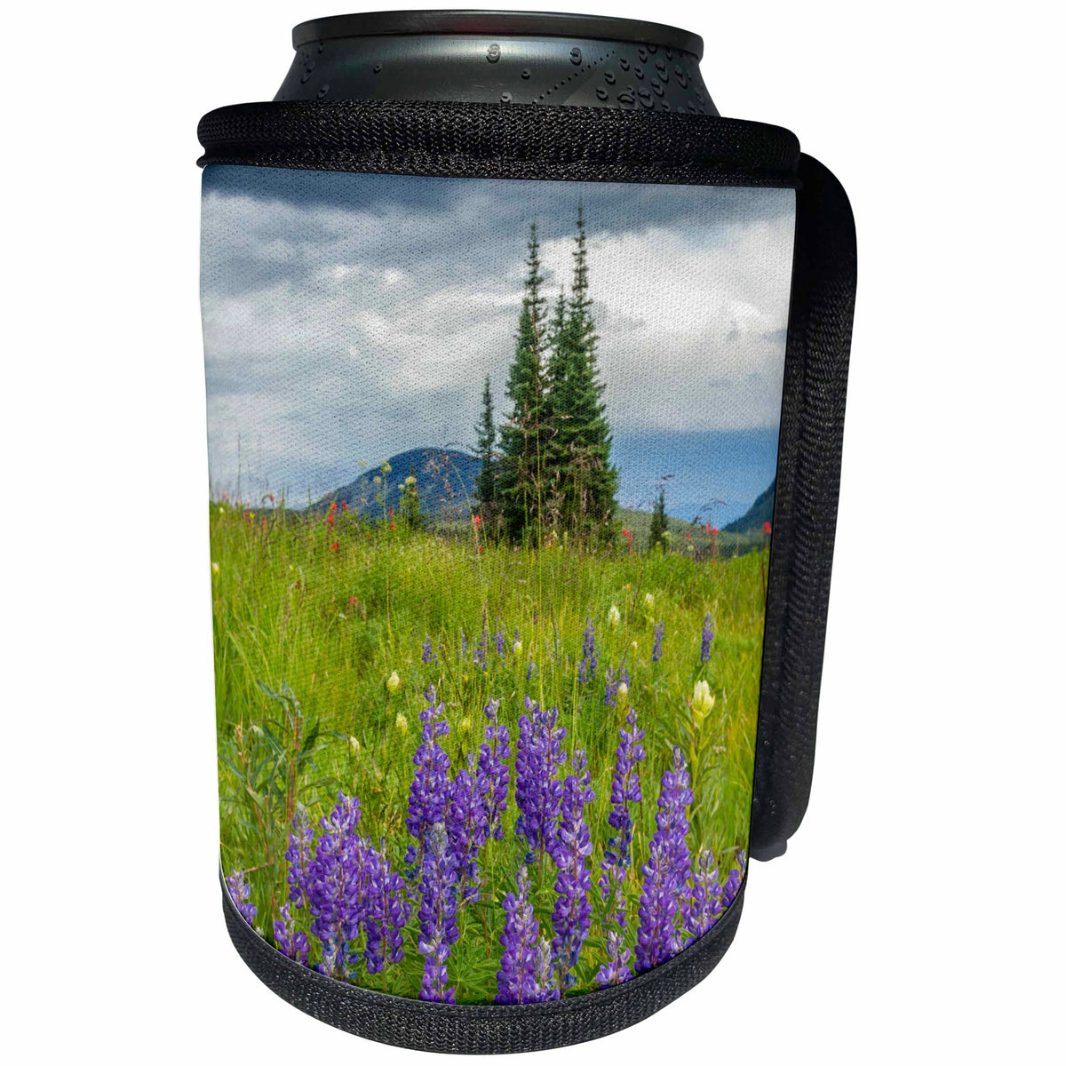 3dRose Danita Delimont - Gunnison National Forest - Colorado, Gunnison National Forest. Lupine in mountain meadow. - Can Cooler Bottle Wrap (cc_250684)