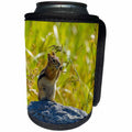 3dRose Danita Delimont - Gunnison National Forest - Colorado, Gunnison National Forest. Golden-mantled ground squirrel. - Can Cooler Bottle Wrap (cc_250685)