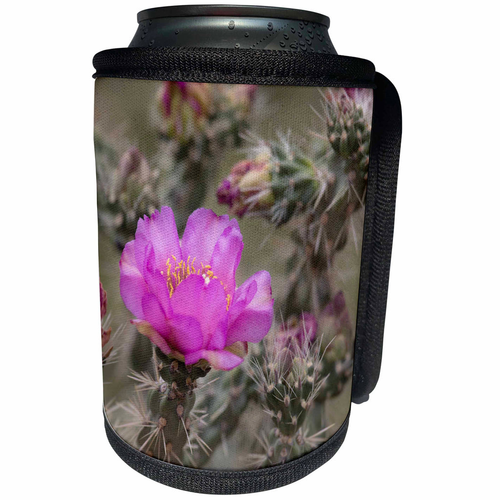 3dRose Danita Delimont - Colorado - Colorado. Tree cholla cactus in bloom. - Can Cooler Bottle Wrap (cc_250694)