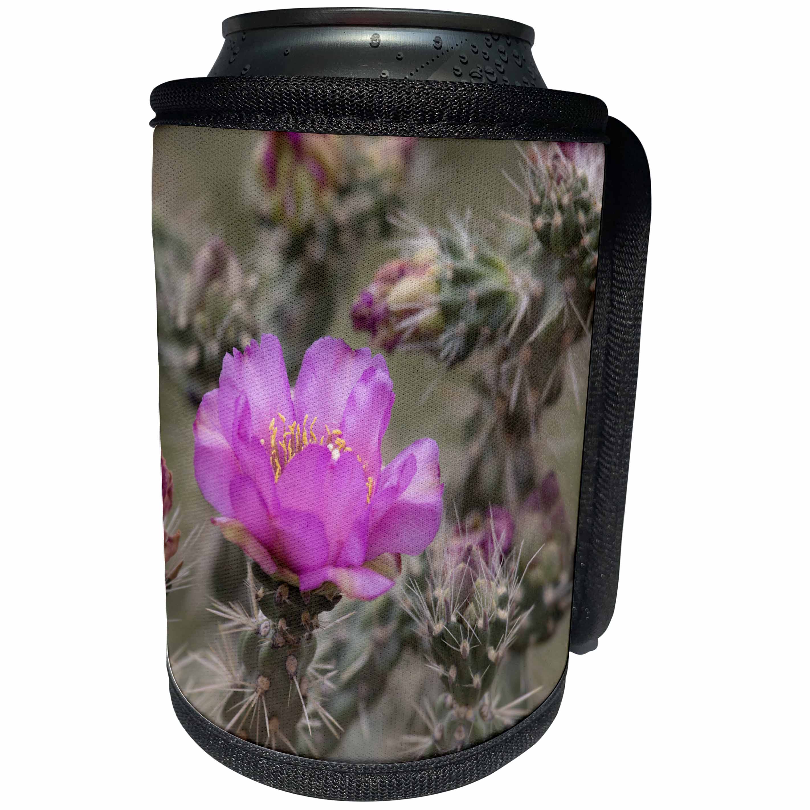 3dRose Danita Delimont - Colorado - Colorado. Tree cholla cactus in bloom. - Can Cooler Bottle Wrap (cc_250694)