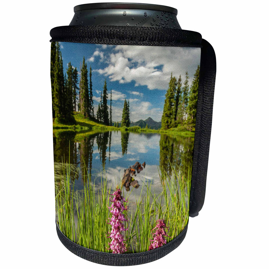 3dRose Danita Delimont - Gunnison National Forest - Colorado, Gunnison National Forest. Paradise Divide, pond reflection - Can Cooler Bottle Wrap (cc_250697)