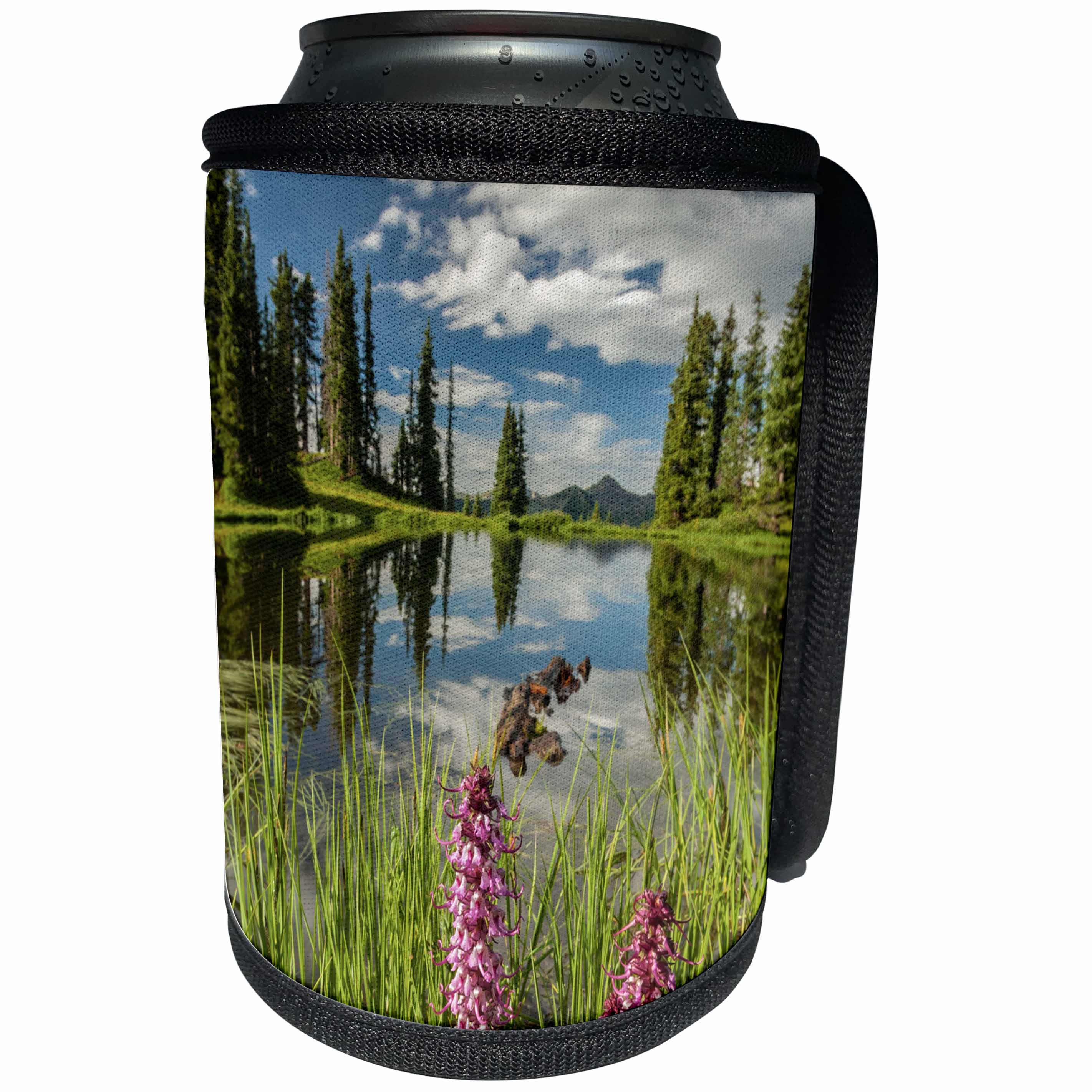 3dRose Danita Delimont - Gunnison National Forest - Colorado, Gunnison National Forest. Paradise Divide, pond reflection - Can Cooler Bottle Wrap (cc_250697)